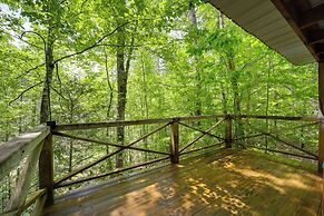 Marion Cabin w/ Hot Tub, On-site Nature Trails!