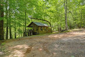 Marion Cabin w/ Hot Tub, On-site Nature Trails!