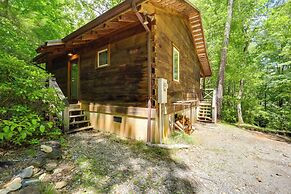 Relaxing Marion Cabin - Hiking Access & Grill