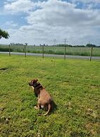 Holiday Home Ckate Comfortable Vacation Home