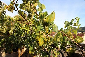 Fancy Apartments Marco