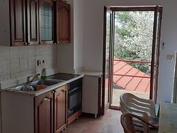 Apartments Rudi