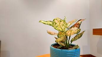 Fortune Select Candolim, Goa - Member ITC Hotels' Group