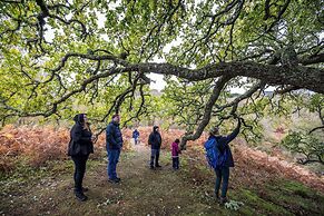 An Spiris Accommodation at Dundreggan Rewilding Centre