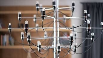 Italianway - Dei Sana 8 - Orso