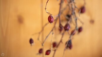 Italianway - Roma 23