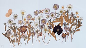 Italianway - Roma 23