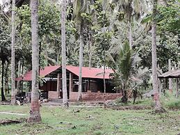 Cosmic Connect Trails Kabini