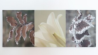 Italianway -San Sebastiano 4