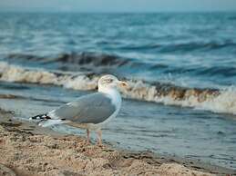 Holiday Vacation by the sea