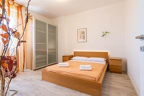 Surf Sound B Flat in Livorno