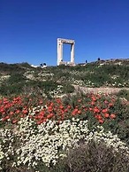 Valentina Central Studio