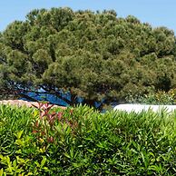 Casa EOS in Baia Sant Anna