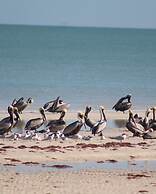 Tatich Sisal Bungalows