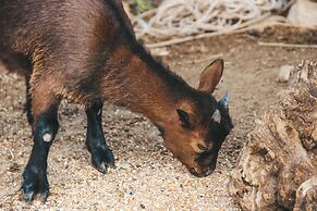 Quinta Nossa Senhora da Saúde