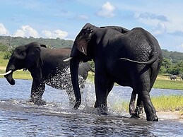 Holistic Hive Retreat House - Luxury on the Farm