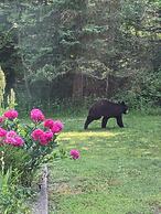 Firefly Lodge! Boardman River! Hot Tub! Woodstove!