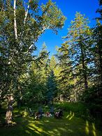 Firefly Lodge! Boardman River! Hot Tub! Woodstove!