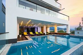 Daisy Flower Nha Trang