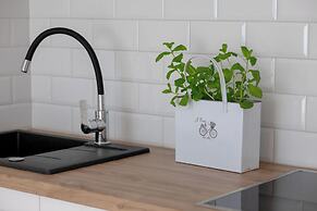 Bright Studio in Darlowo by Renters