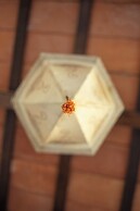 Loma Puskana - Hostería