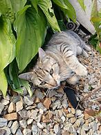 Comfortable Mobile Home in the Countryside