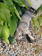 Comfortable Mobile Home in the Countryside