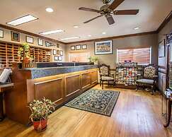 Tampa Bay Extended Stay Airport