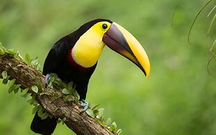 Mi casa es su casa B&B