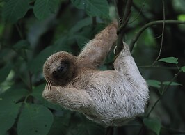 Mi casa es su casa B&B