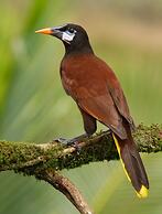 Mi casa es su casa B&B