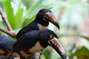 Mi casa es su casa B&B