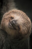 Mi casa es su casa B&B