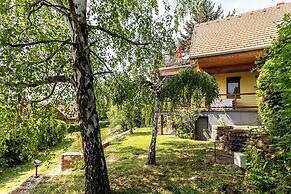 House With Panorama