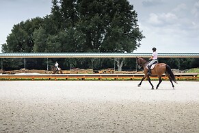 Idyllic Anthony Home: Riding Arena w/ Mirror Wall!
