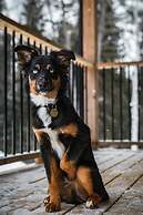 Le Grand Duc- SPA Sauna- Bord Rivi re Noire