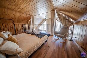 Sommet- Pet Friendly- Spa- SKI IN SKI OUT St-c me