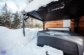 Sommet- Pet Friendly- Spa- SKI IN SKI OUT St-c me