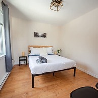 Sommet- Pet Friendly- Spa- SKI IN SKI OUT St-c me