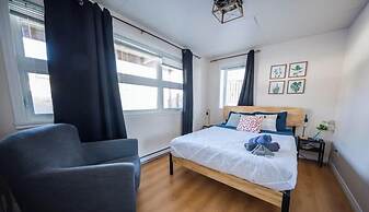 Sommet- Pet Friendly- Spa- SKI IN SKI OUT St-c me