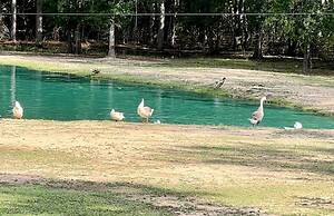 Stunning 1-bed Glamping Tent in Cleveland