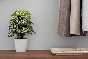 Makris Gialos Lemon Cottage in Lassi Kefalonia