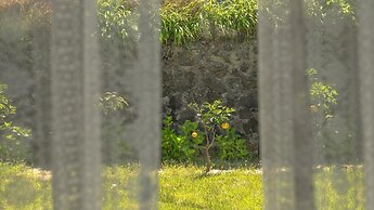 Jeju Pyeongdae 41street Pension