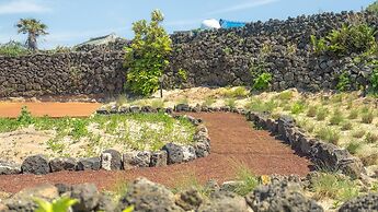 Jeju Pyeongdae 41street Pension