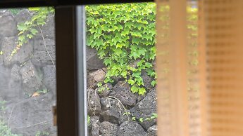 Jeju Pyeongdae 41street Pension