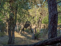 Motswari African Retreat & Walking Safaris by Newmark