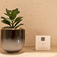 Stunning Modern Sea-view Apartment in Duinbergen