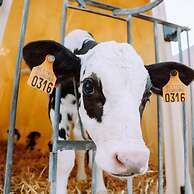 Bungalow With Garden at 5 Minutes From the Beach