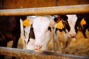 Bungalow With Garden at 5 Minutes From the Beach