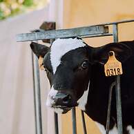 Bungalow With Garden at 5 Minutes From the Beach